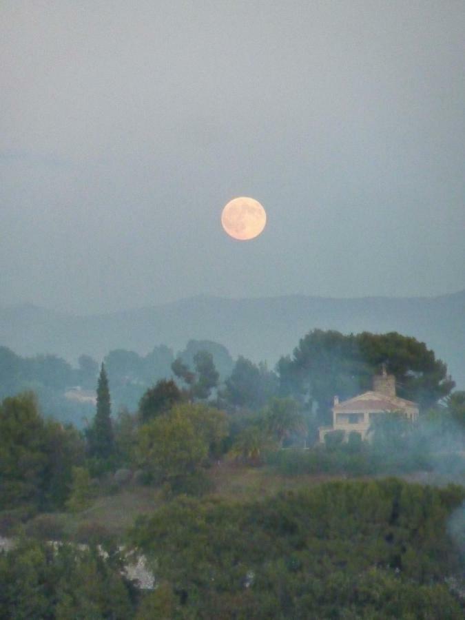 La Maison Aux Bonsais Saint-Paul-de-Vence Eksteriør bilde